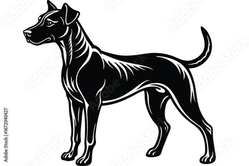 Loyal dog silhouette standing alert vigilant companion animal in striking pose silhouette