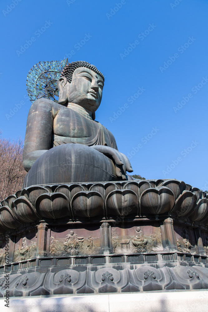 Fototapeta premium low angle view of the large Buddha statue