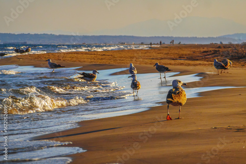 Tableau sur toile Waves in Port La Nouvelle in the South of France