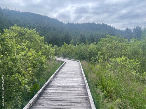 Boardwalk goes through a forested mountainside on a cloudy day