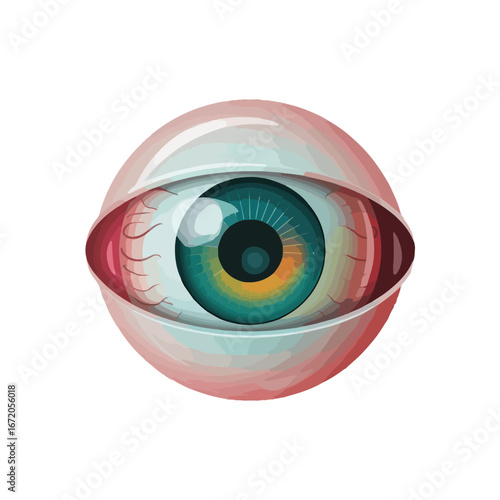 Creepy Cartoon Eyeball with Green and Orange Iris - Vector Human Organs