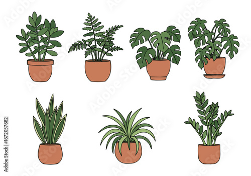 A vibrant collection of popular cartoon potted houseplants, including Monstera, Snake Plant, Fern, and ZZ plant, isolated on a white background for botanical themes.