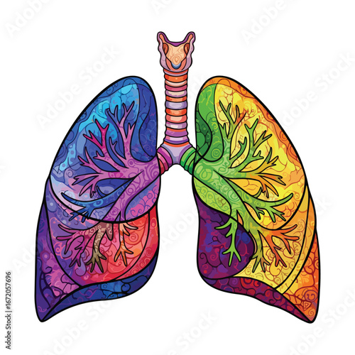 Colorful Human Lungs Showing Bronchial Tree and Alveoli – High Quality Medical Anatomy for Learning and Healthcare