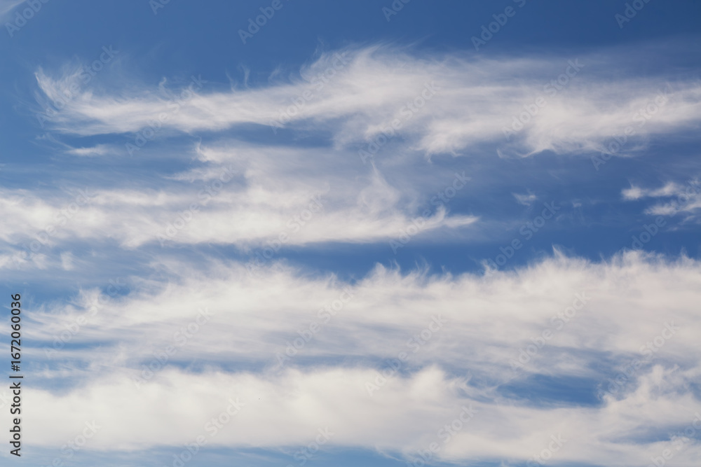 Naklejka premium White cirrus clouds in blue sky close-up, feathery clouds in light morning haze in the sky, lines of cirrus clouds on blue firmament.
