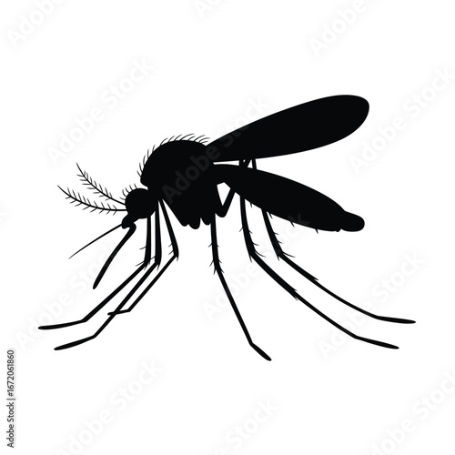 Black silhouette of a mosquito on a white background