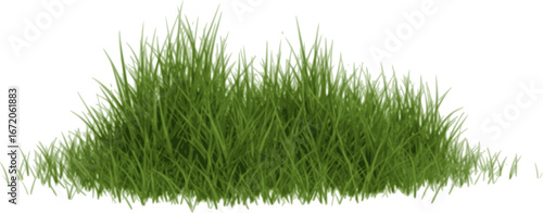 Grass banner background repeating
