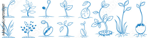Hand drawn plant growth stages vector illustration. Botanical sketch showing seed germination, sprout, and leaf development. Educational graphic design for biology, ecology, and nature concepts.