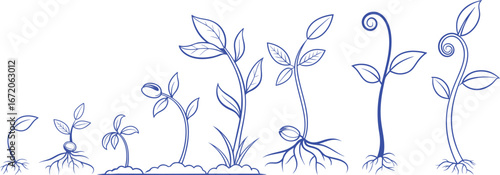 Hand drawn plant growth stages vector illustration. Botanical sketch showing seed germination, sprout, and leaf development. Educational graphic design for biology, ecology, and nature concepts.