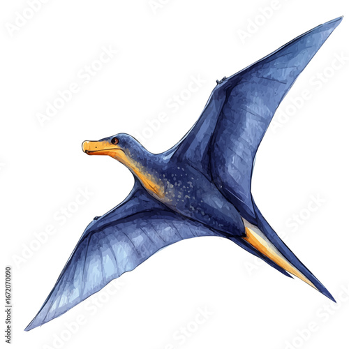 Pteranodon, watercolor drawing vector, isolated on a white background.