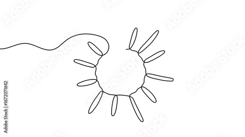 Animation of a single line drawing of sun. Continuous contour movement of a sun. Continuous video with one line.