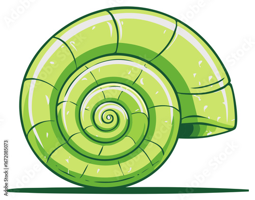 Green coiled snail shell illustration with natural light highlights