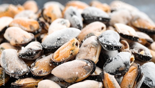 Fresh frozen mussels, perfect for adding a touch of elegance to any dish.