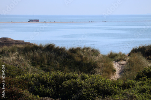 View at dunes along Kattegat sea and the sandbar spit Grenen in the distance in bokeh (Jutland, Denmark)