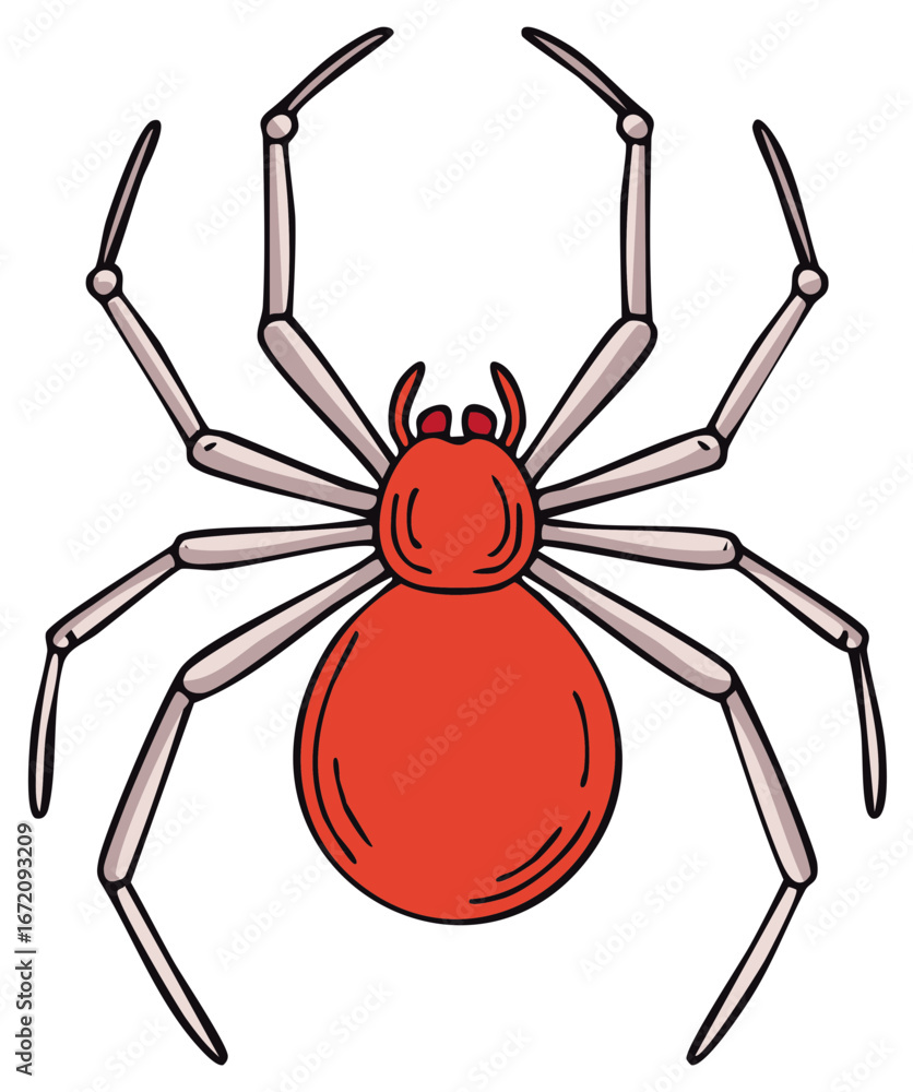 Obraz premium Red Spider Cartoon Illustration, Overhead View, Eight Legs, Insect, Animal, Vector Graphic