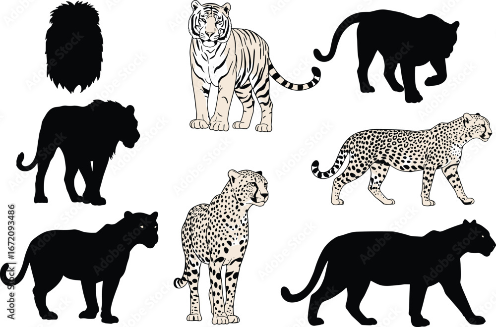Naklejka premium Big cat animal silhouettes including lion, tiger, leopard, cheetah in various poses, wild feline illustration collection for design and education