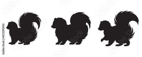 Silhouette set of skunks with fluffy tails, vector illustration isolated on white background for wildlife and design concepts