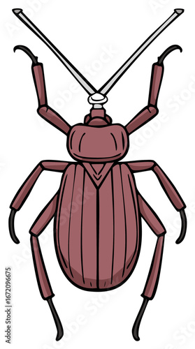 Simple cartoon drawing of a brown beetle with long antennae from a top down view
