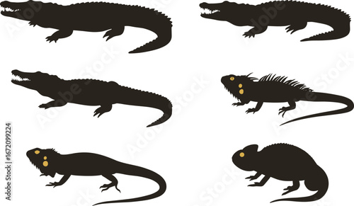 Reptile silhouettes, crocodile, iguana, lizard, amphibian, wildlife animals, nature reptiles, wild fauna, animal silhouettes, exotic reptiles, tropical wildlife, reptile shapes