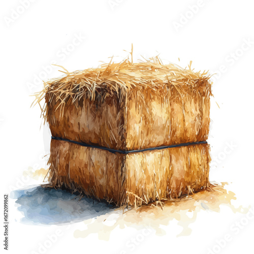 Hay Bale Rustic Farm, watercolor drawing vector, isolated on a white background.