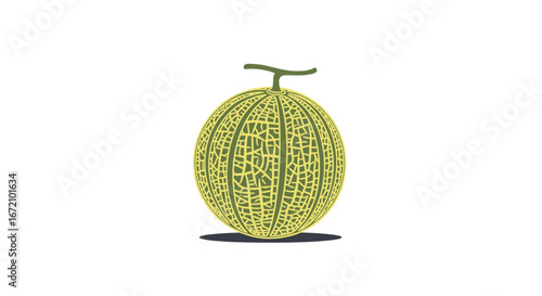 Exploring the refreshing taste and health benefits of ripe cantaloupe fruit