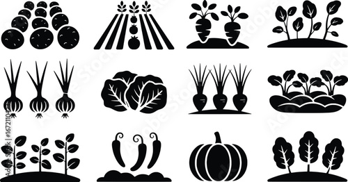 Collection of diverse farm vegetable icons represents growth and agriculture