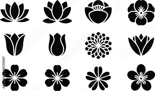 Collection of elegant black and white floral silhouettes for design projects