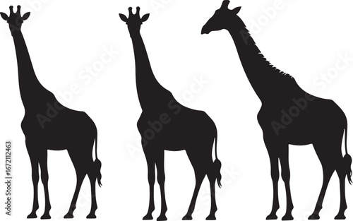 Giraffe Silhouette Vector Set"

"Wildlife Animal Giraffe Silhouette Illustration"

"African Giraffe Silhouette Graphic Collection"