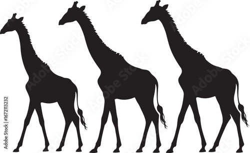 Giraffe Silhouette Vector Set"

"Wildlife Animal Giraffe Silhouette Illustration"

"African Giraffe Silhouette Graphic Collection"
