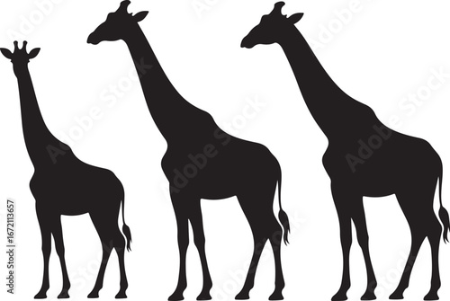 Giraffe Silhouette Vector Set"

"Wildlife Animal Giraffe Silhouette Illustration"

"African Giraffe Silhouette Graphic Collection"