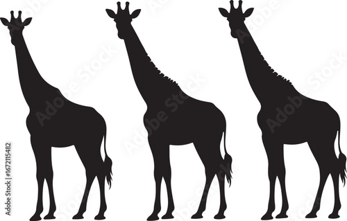 Giraffe Silhouette Vector Set"

"Wildlife Animal Giraffe Silhouette Illustration"

"African Giraffe Silhouette Graphic Collection"