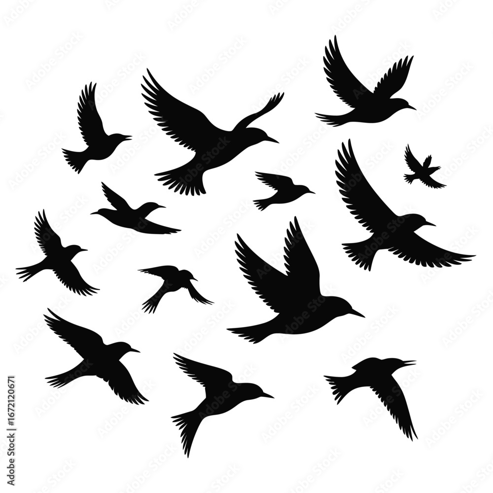 Obraz premium Flock Of Birds In Flight flying silhouette