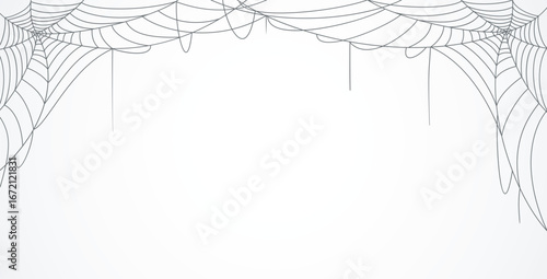 Spider web on a white background. illustration for your design