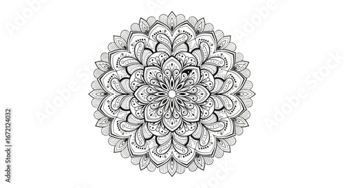 Finely Detailed Ornate Circular Mandala Art with Intricate Patterns, isolated white background