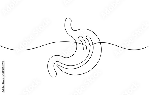Single line drawing stomach icon .