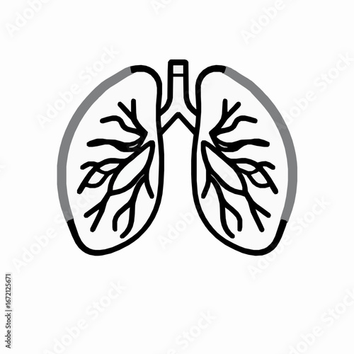 Stylized Human Lungs Illustration with Gray Highlights on White Background respiratory system breathing