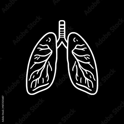 White Outline of Human Lungs with Branching Bronchi on Black Background respiratory system breathing