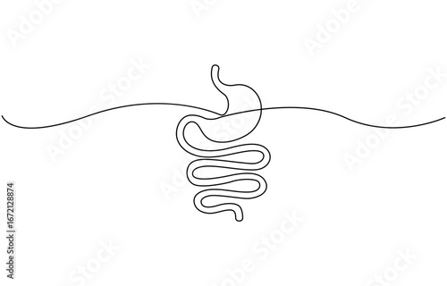 Single line drawing stomach icon .