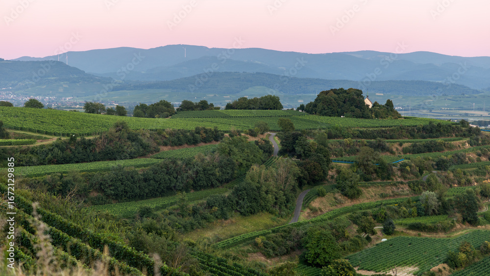 Fototapeta premium Oberrheinebene mit Schwarzwald im Breisgau, vom Tuniberg fotografiert