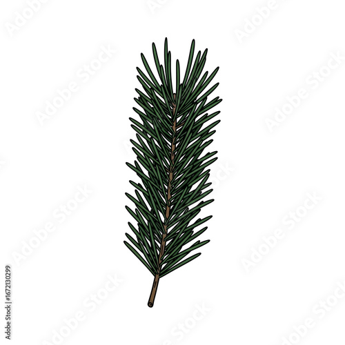 Detailed close-up image of a green pine branch with many needles, isolated on white.