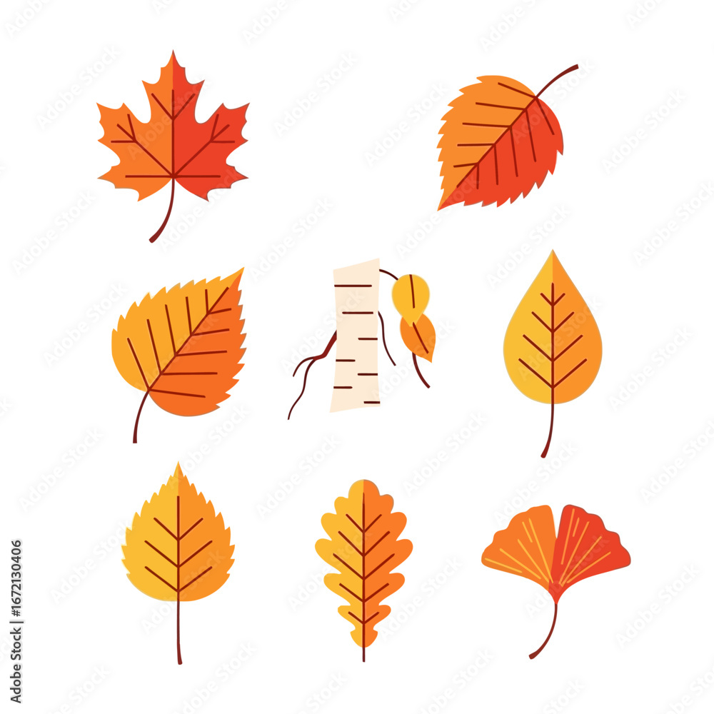 Fototapeta premium Collection of autumn leaves: maple, birch, oak, and ginkgo leaves in yellow, orange, and red colors.