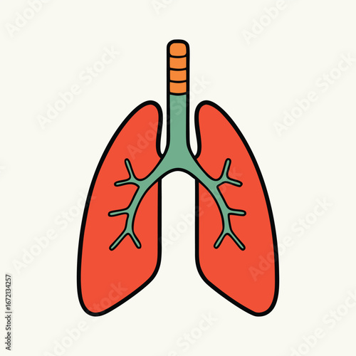 Human Lungs Anatomy Vector Illustration