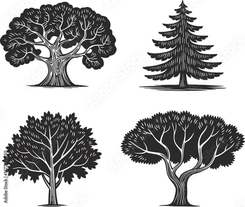 Collection of hand drawn tree illustrations, detailed forest vector design, eco friendly botanical art, pine and leafy tree set, nature background