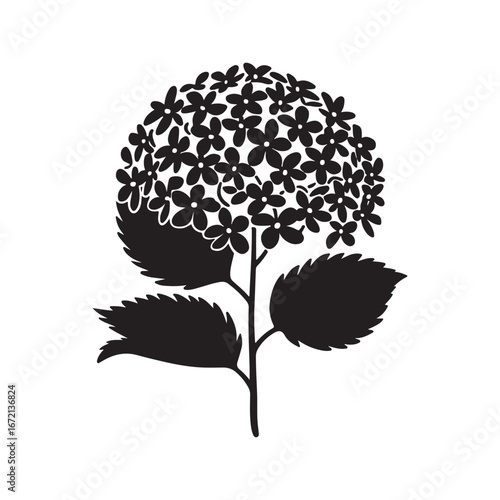 Hydrangea Flower Vector Illustration for Elegant Floral Designs