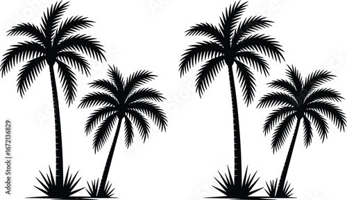 Palm tree silhouettes, tropical beach trees, coconut palms, exotic plants, summer holiday, island nature, tropical landscape, black isolated design illustration