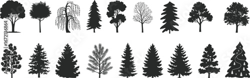 Silhouette collection of different trees, pine, oak, fir, willow, deciduous, conifer, forest, woodland, isolated, nature, botanical, evergreen, plants, foliage, landscape, environment, seasonal
