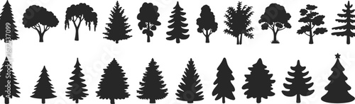 Tree silhouette collection, pine, oak, fir, cedar, willow, conifer, deciduous, forest, woodland, evergreen, botanical, seasonal, nature, landscape, foliage, environment, natural, isolated, design