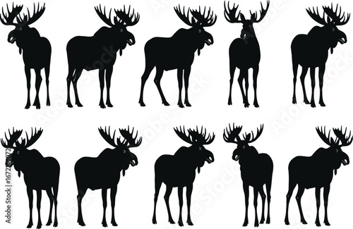Moose silhouette set, wildlife vector pack, antler variation icons, forest animal illustration, black graphic shapes, nature themed design
