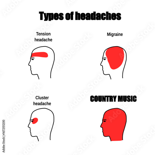Meme about country music. Humor for social media.