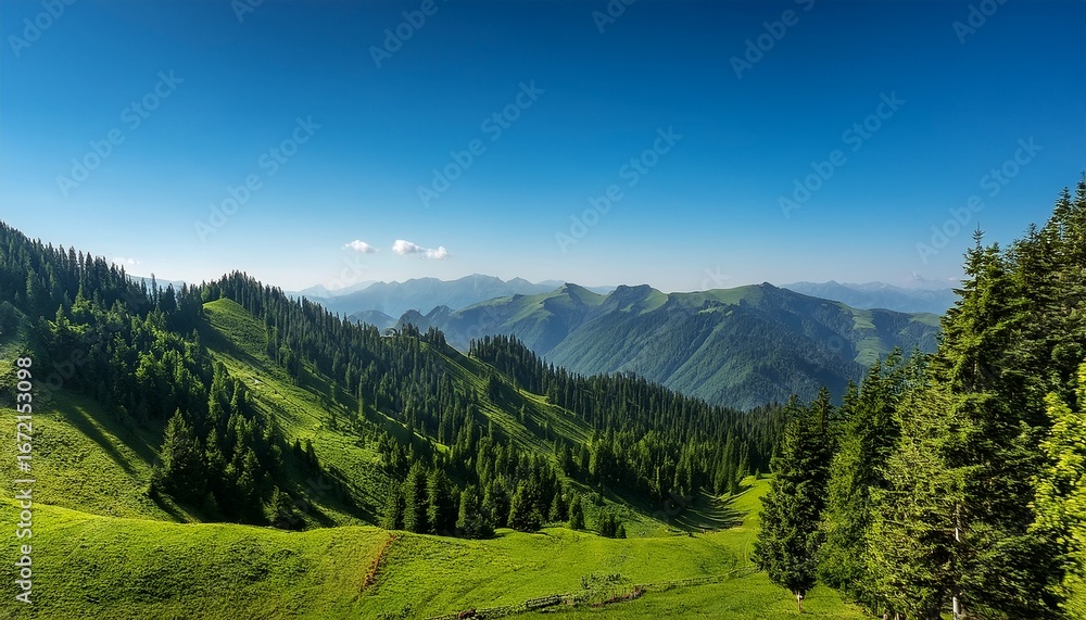 Obraz premium A stunning green mountain range stretches across the horizon, dotted with clusters of vibrant trees. The lush foliage contrasts beautifully against the clear blue sky, 
