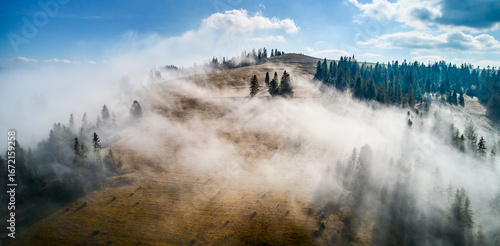 Fotografija Stunning landscape with dense forests and rolling hills partially shrouded in soft, ethereal fog